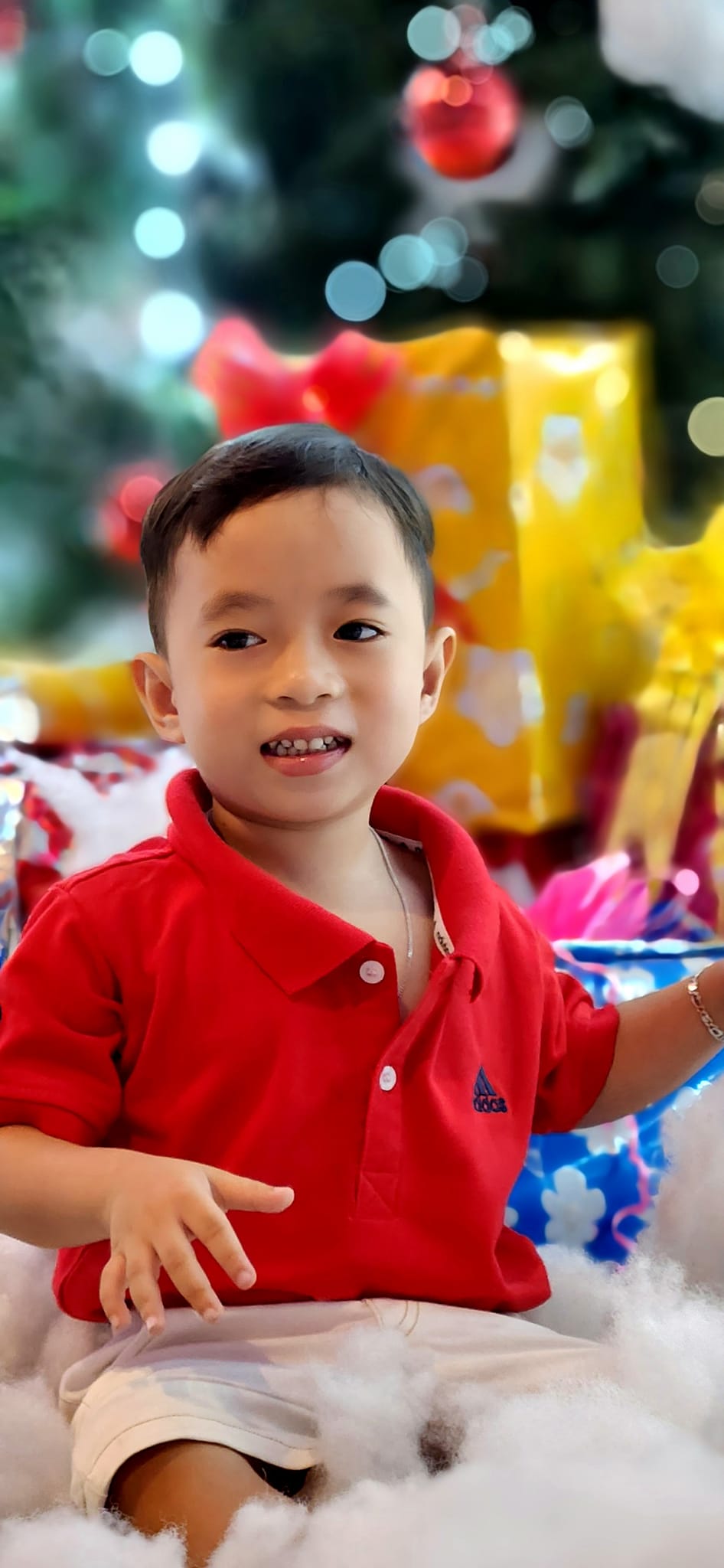 Noel 2023 đang bắt đầu